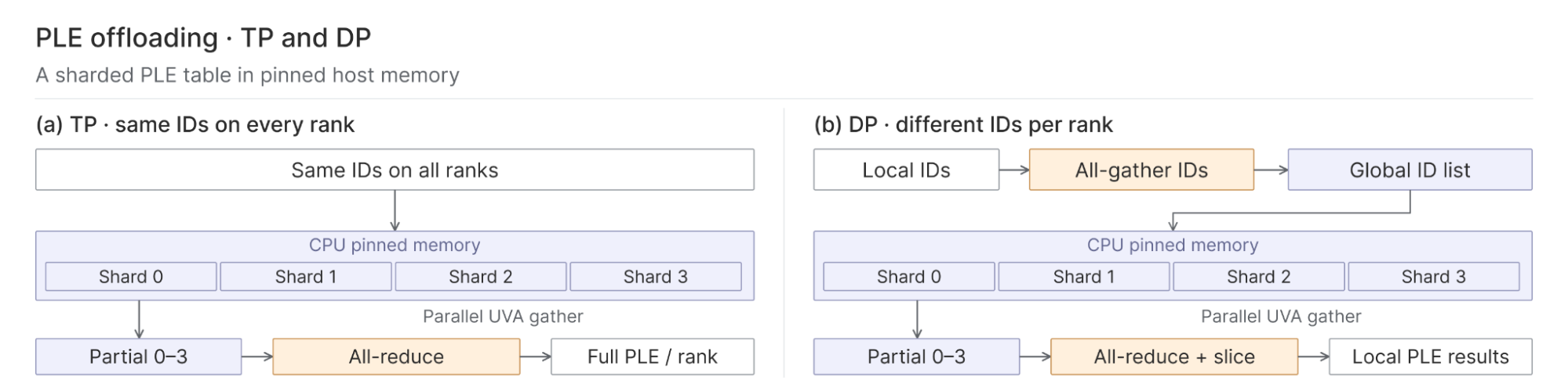 PLE table shards reside in pinned host memory. Tensor-parallel ranks use the same token IDs and all-reduce partial lookups. Data-parallel ranks first gather their different token IDs, then all-reduce and select their local results.